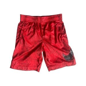 Nike Dri Fit Shorts